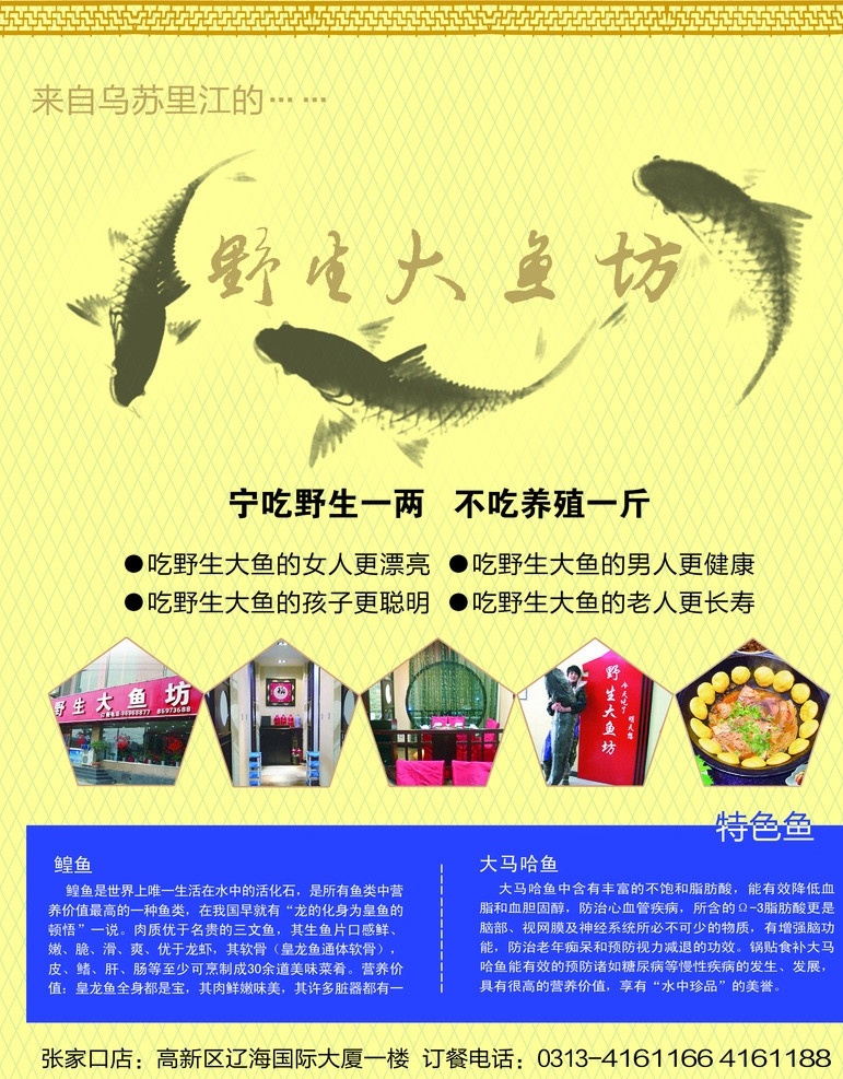 野生 大鱼 坊 宣传单 野生大鱼坊 餐饮 鱼 黄底 三条大鱼 300pdi dm宣传单 广告设计模板 源文件