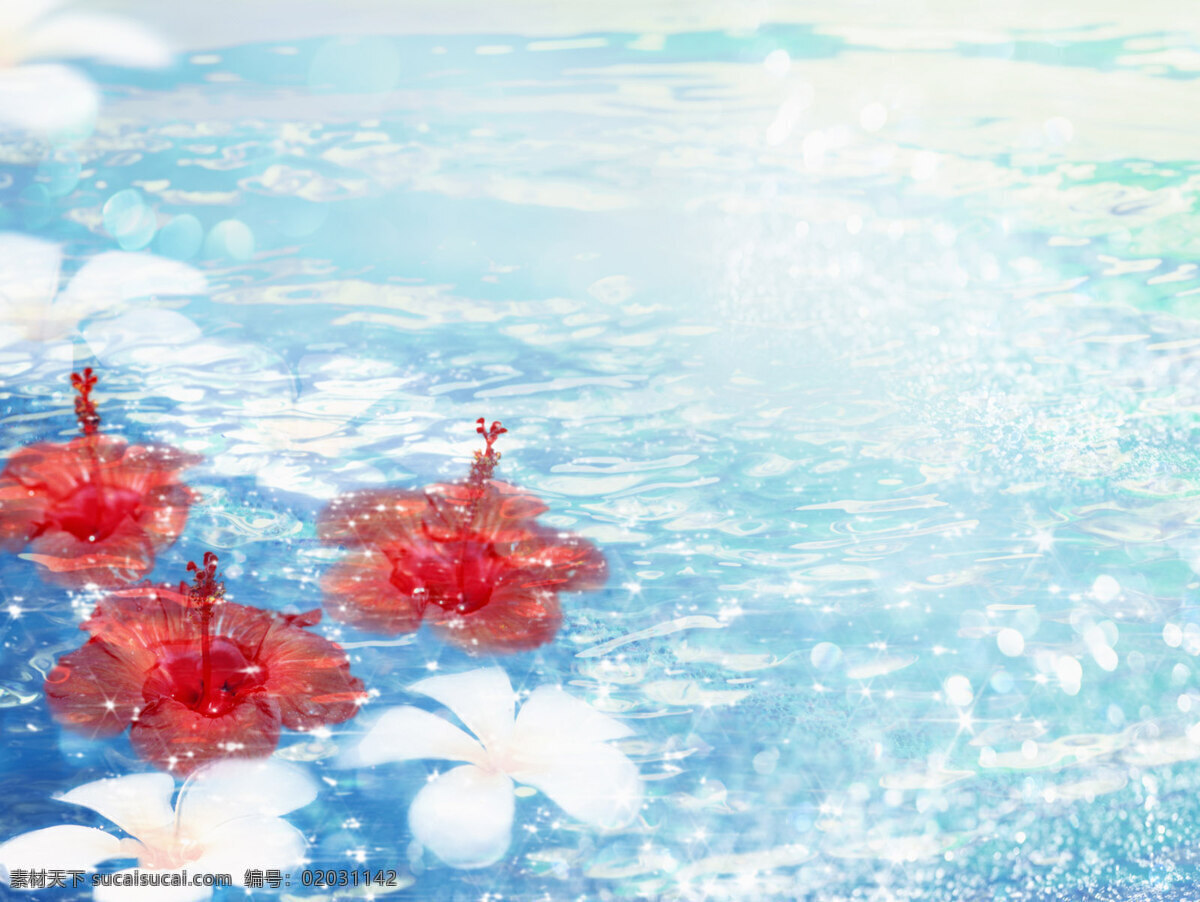 蓝色 花朵 背景 背景图片