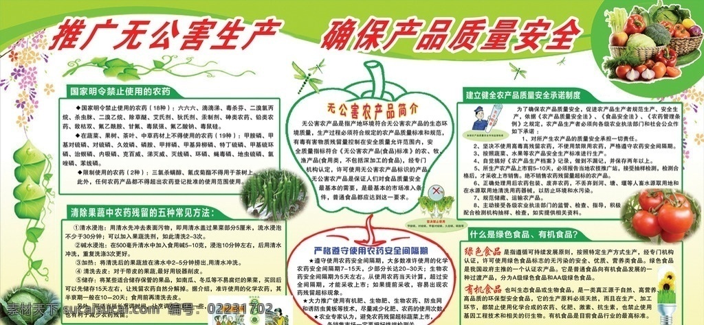 无公害 蔬菜 健康 广告 中文字 人物 辣椒 包菜 西红柿 葵花 花菜 篮子 蜻蜓 绿色边框 白灰色背景