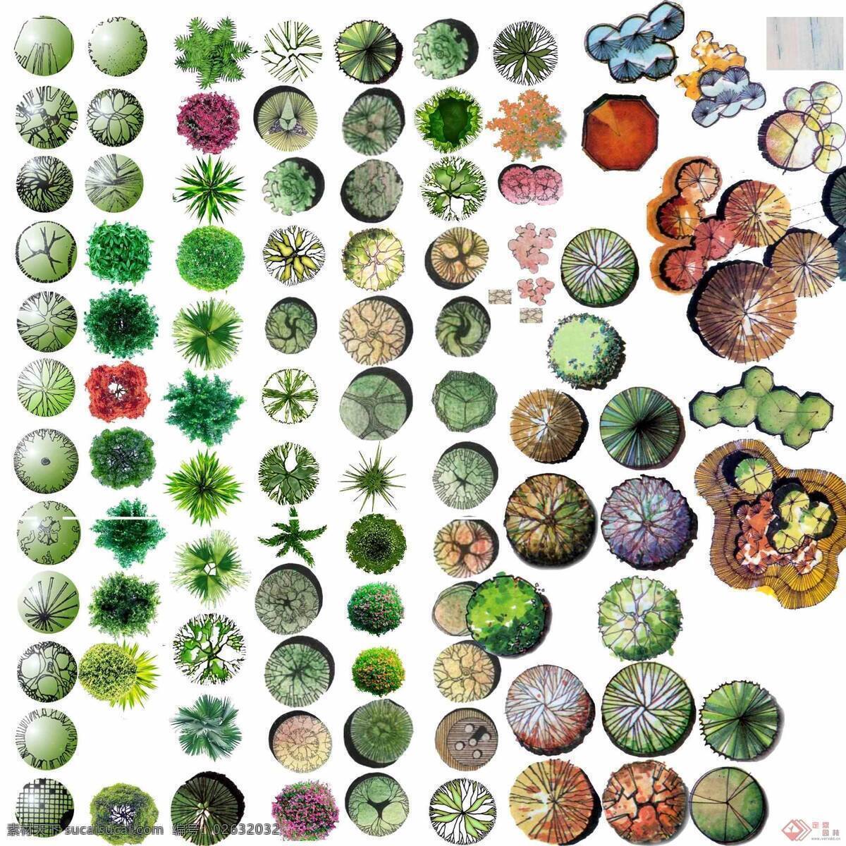 ps 植物 库 园林植物 ps植物库 配景素材 园林 建筑装饰 设计素材 3d模型素材 室内场景模型