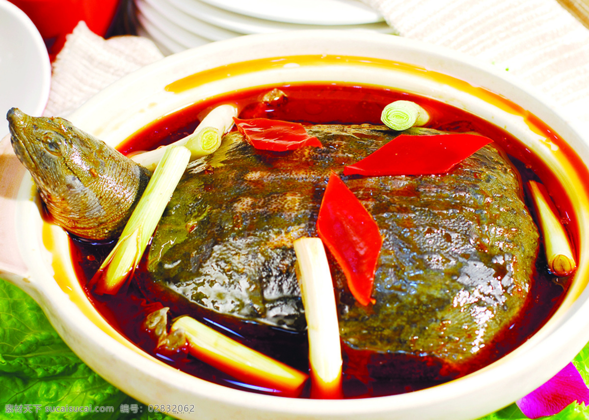 清蒸甲鱼 清蒸王八 中华鳖 团鱼 餐饮 美食 美食摄影 菜单 菜谱 餐饮美食 传统美食
