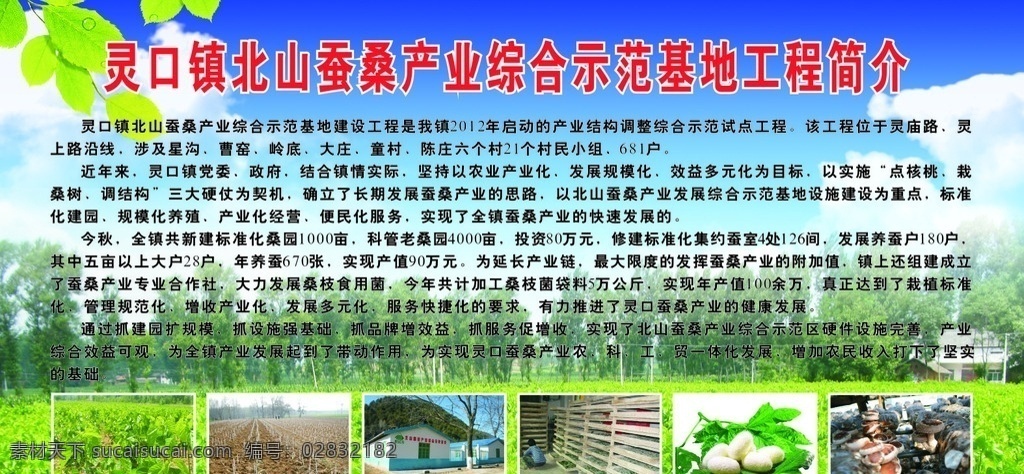 蚕桑 产业 综合 示范基地 工程 简介 蚕桑基地简介 文字 蚕桑图片 蚕茧 香菇图片