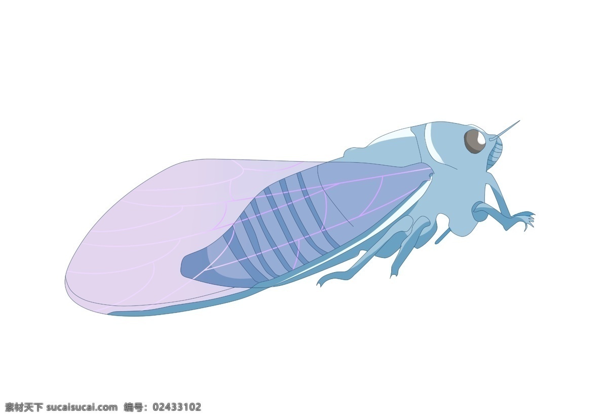 蓝色夏蝉昆虫 紫色 翅膀 昆虫