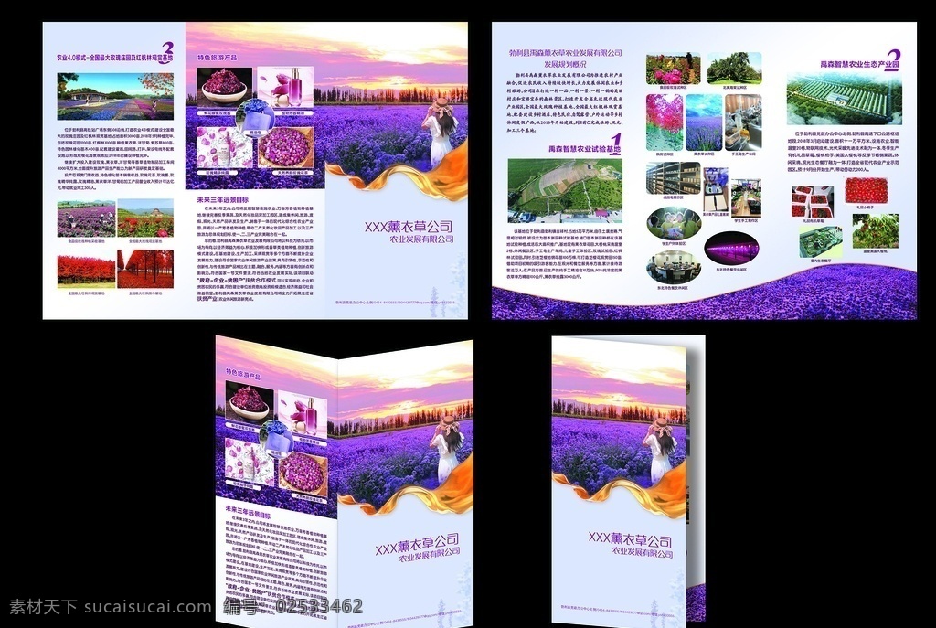 薰衣草 庄园图片 玫瑰花 庄园 三折页 产业园 传单 企业文化 照片牌匾