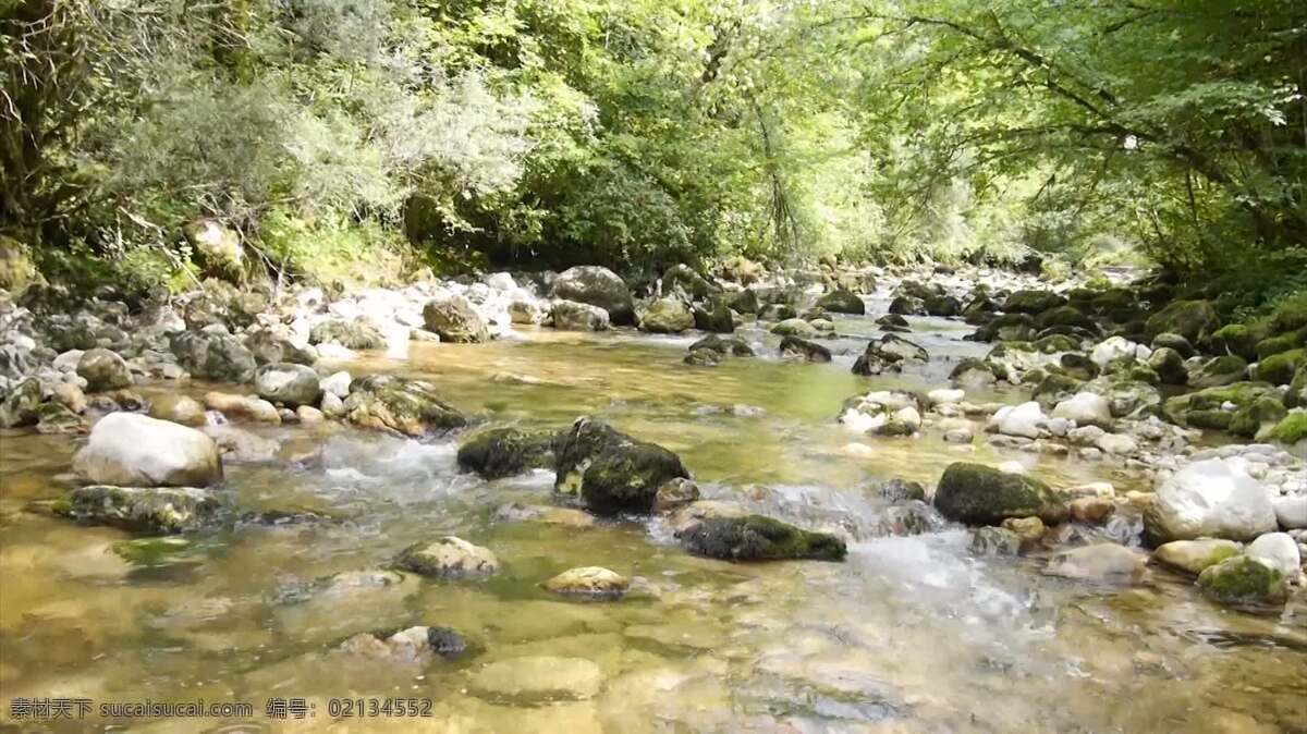 forest 河流 自然 河 流动 流 水 岩石 在户外 小溪 保护 野生的 外部 平静的 平静 和平 宁静 森林 伍兹 汝拉 法国