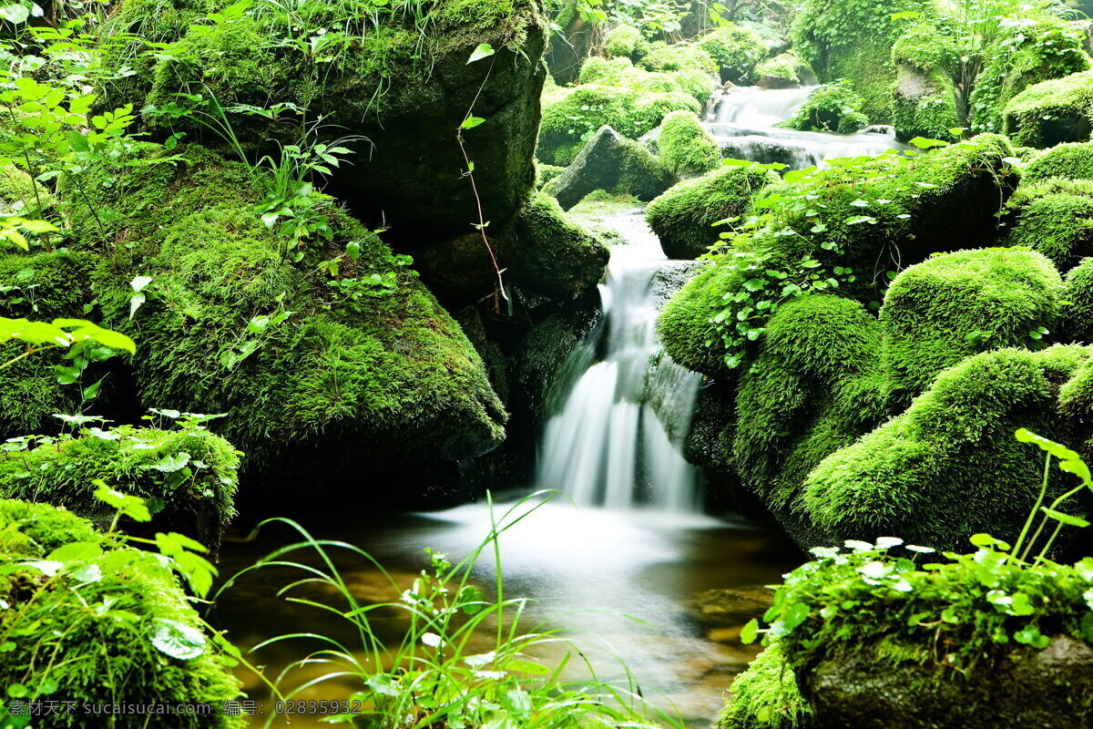绿色自然山水 绿色风景 山水 溪流 山涧 岩石 石块 水潭 青苔 苔藓 绿色植被 植物 山水风景 自然风光 风景图 自然景观 自然风景