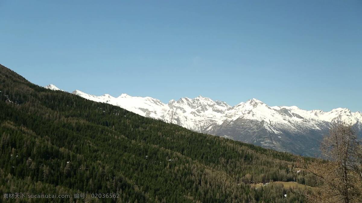 树木 覆盖 小山 雪山 景观 自然 随机对象 绿色 树 山 天空 分支 雪 阿尔卑斯山脉 假日 意大利 法国人