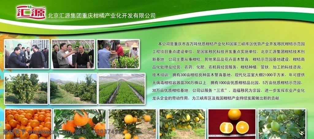 农业发展展板 高清背景 绿色背景 广告背景 广告素材 良心 525 农业图片