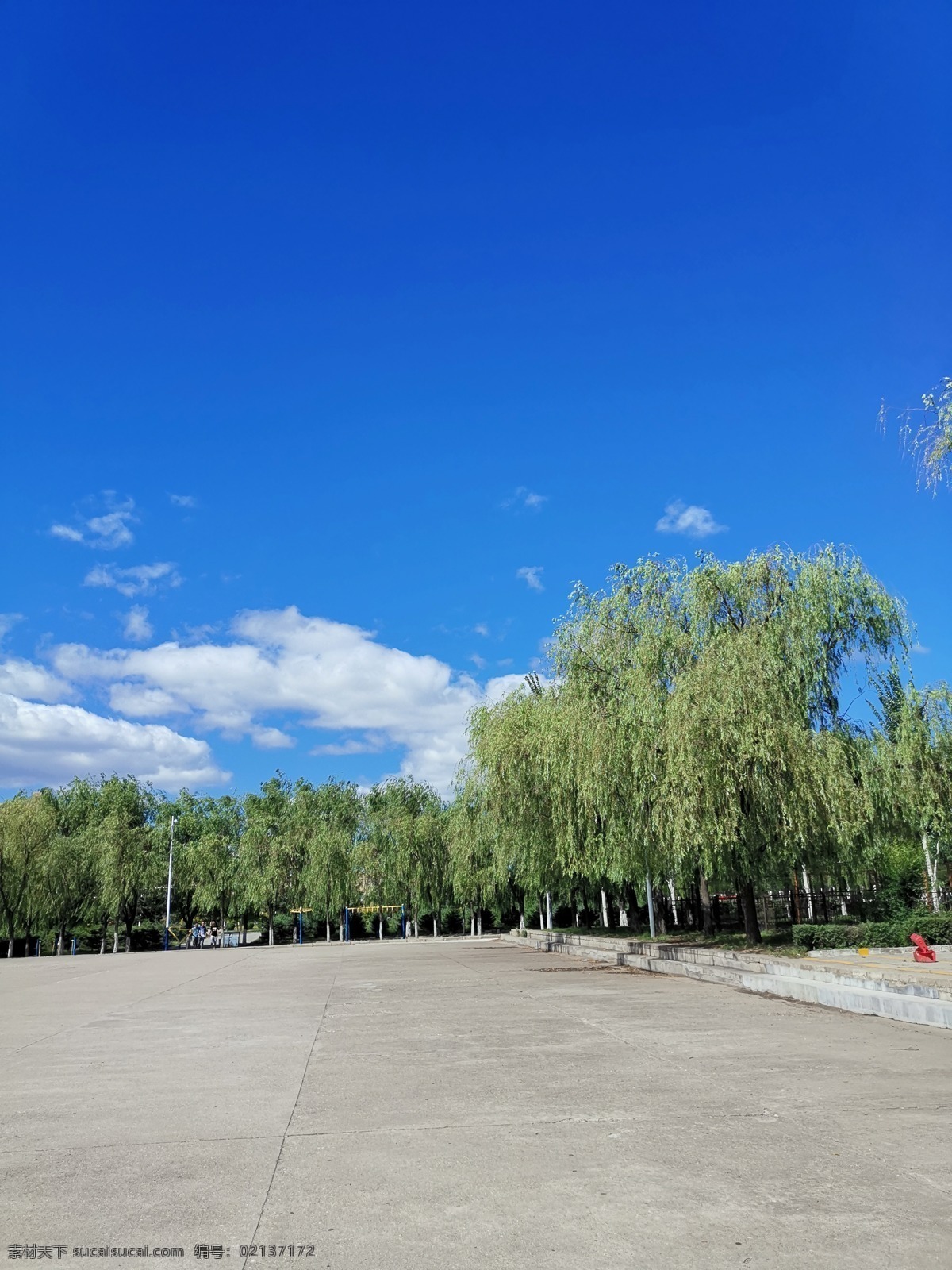 蓝天 白云 绿柳 夏天 内蒙古 自然景观 自然风景