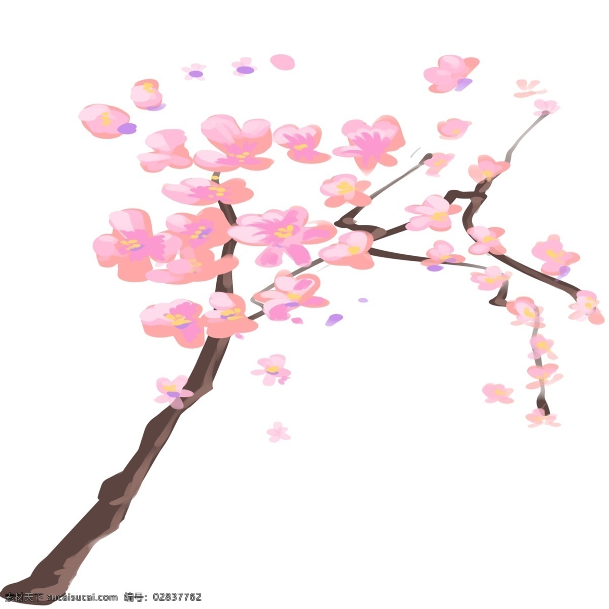 樱花树 的卡 通 插画 樱花树插画 卡通插画 植物插画 樱花插画 樱花花朵 装饰樱花 繁盛的樱花树