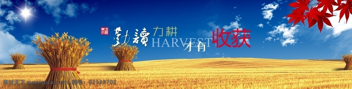 蓝天丰收麦田 丰收的麦田 麦田景色 麦田 麦地 麦子 小麦 麦穗 蓝天白云 麦田风光 美丽风光 金秋 枫叶 阳光 金色大地 广告设计模板 源文件