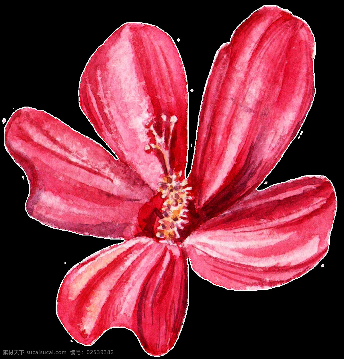 红 纹 花瓣 透明 装饰 红色 花纹 免扣素材 透明素材 装饰图案