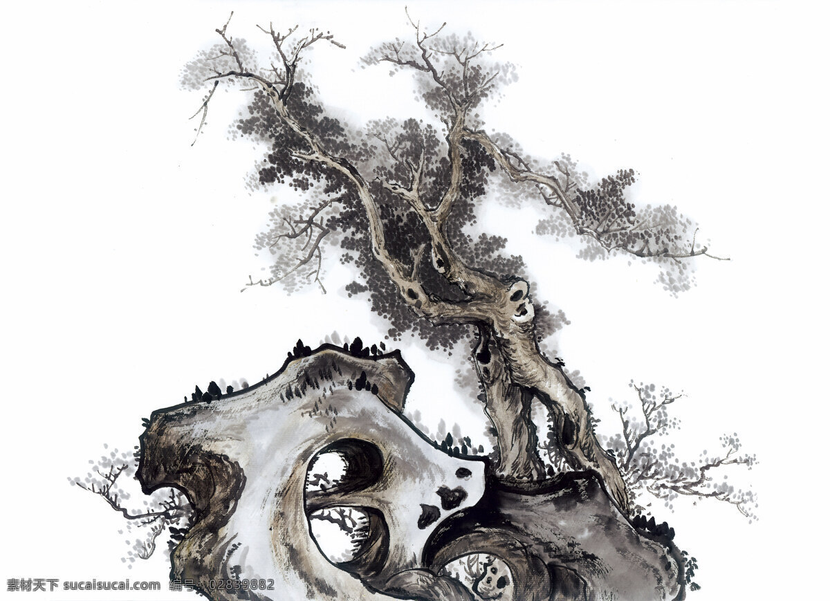 古树奇石 国画0004 国画 设计素材 中国画篇 书画美术 白色