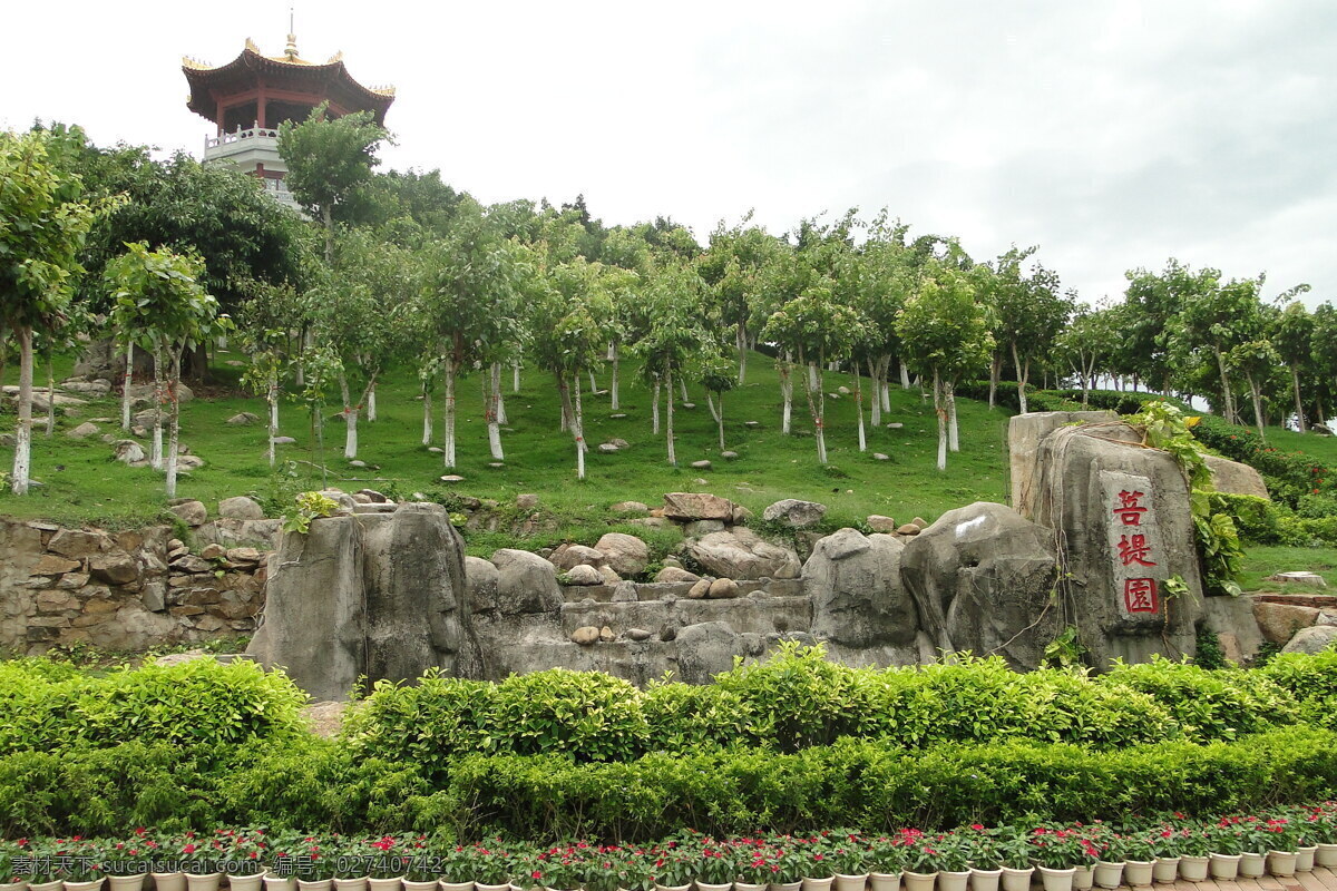 菩提园 草坪 南海 三亚 菩提树 凉亭 南山 热带植物 石头 建筑景观 自然景观