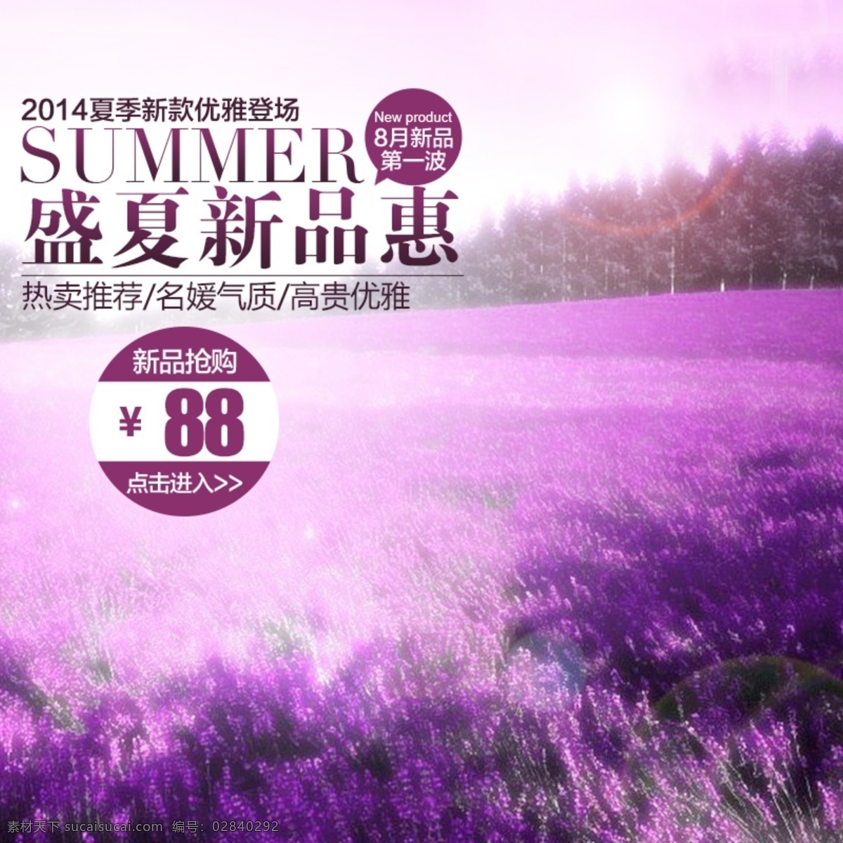 紫色 薰衣草 背景 背景模板 节日 上新 白色
