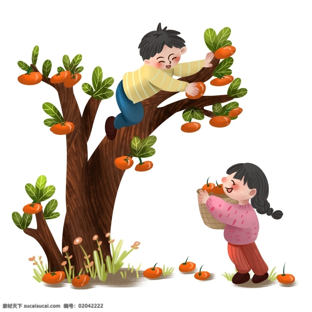 手绘 中国 风 爬 上树 上 摘 柿子 新年 中国风 拜年 红色 绿色 草地 爬上 树上 摘柿子 小男孩儿 小女孩儿 过节