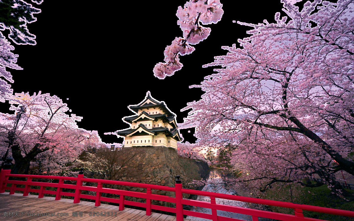 清新 紫 粉色 樱花 日本旅游 装 元素 红色栏杆 旅游文化 装饰元素 紫粉色樱花