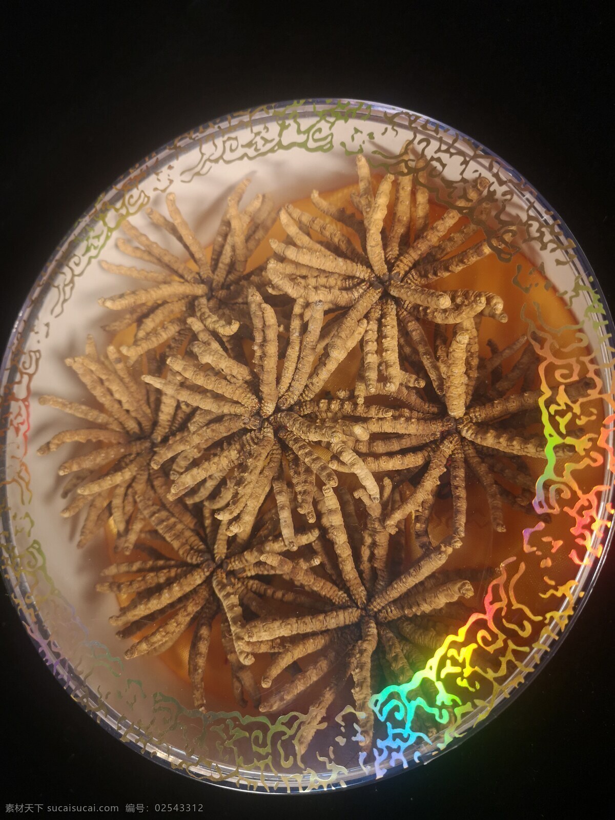 虫草 礼物 冬虫夏草 礼品 礼盒