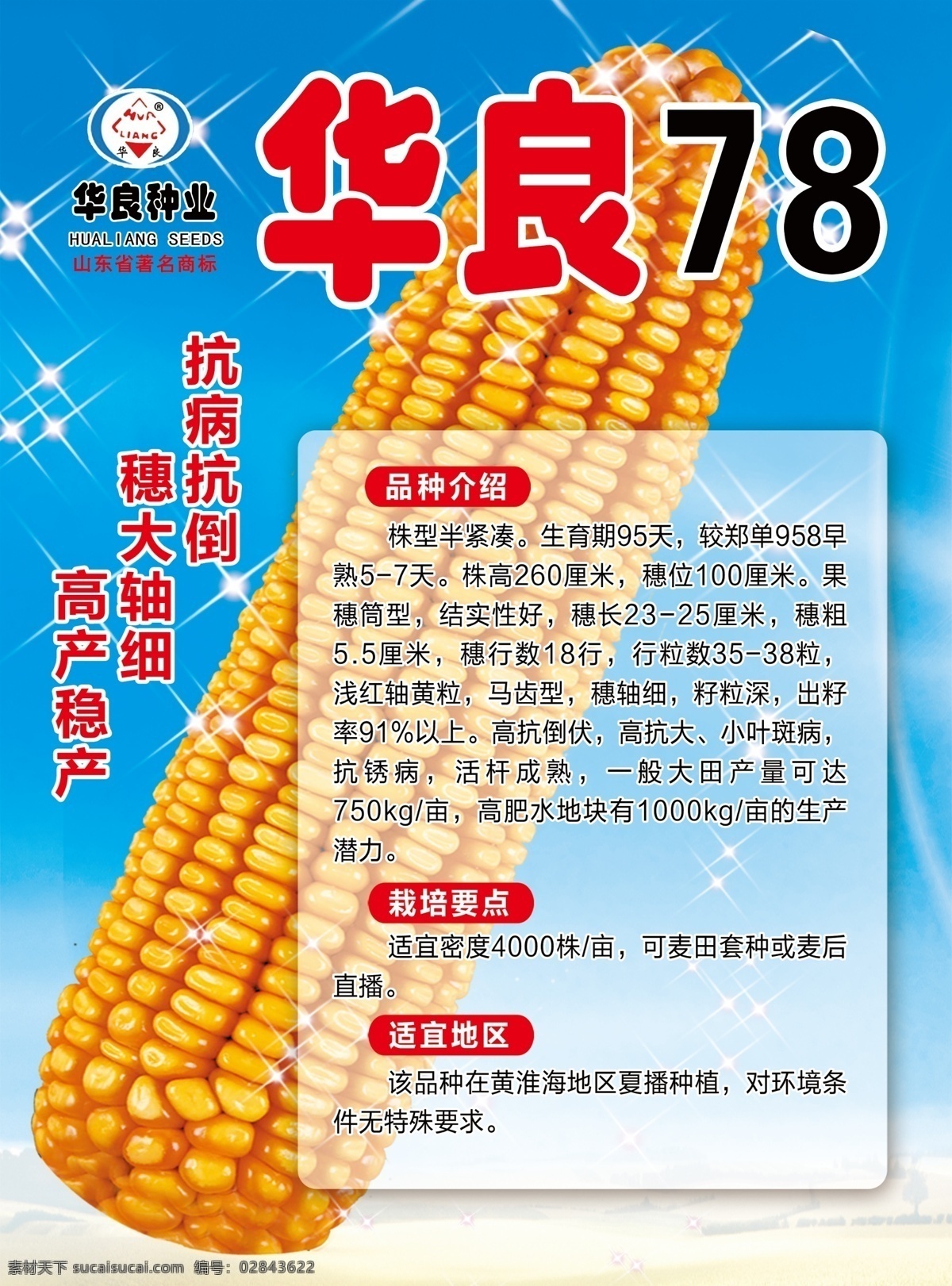华良78 超级玉米 登海605 农副产品 化肥种子门头 水果蔬菜门头 面粉门头 农资超市门头 农副产品门头 农药门头 农机门头 农具门头 种子 玉米 公司 粒大 高产 绿色背景