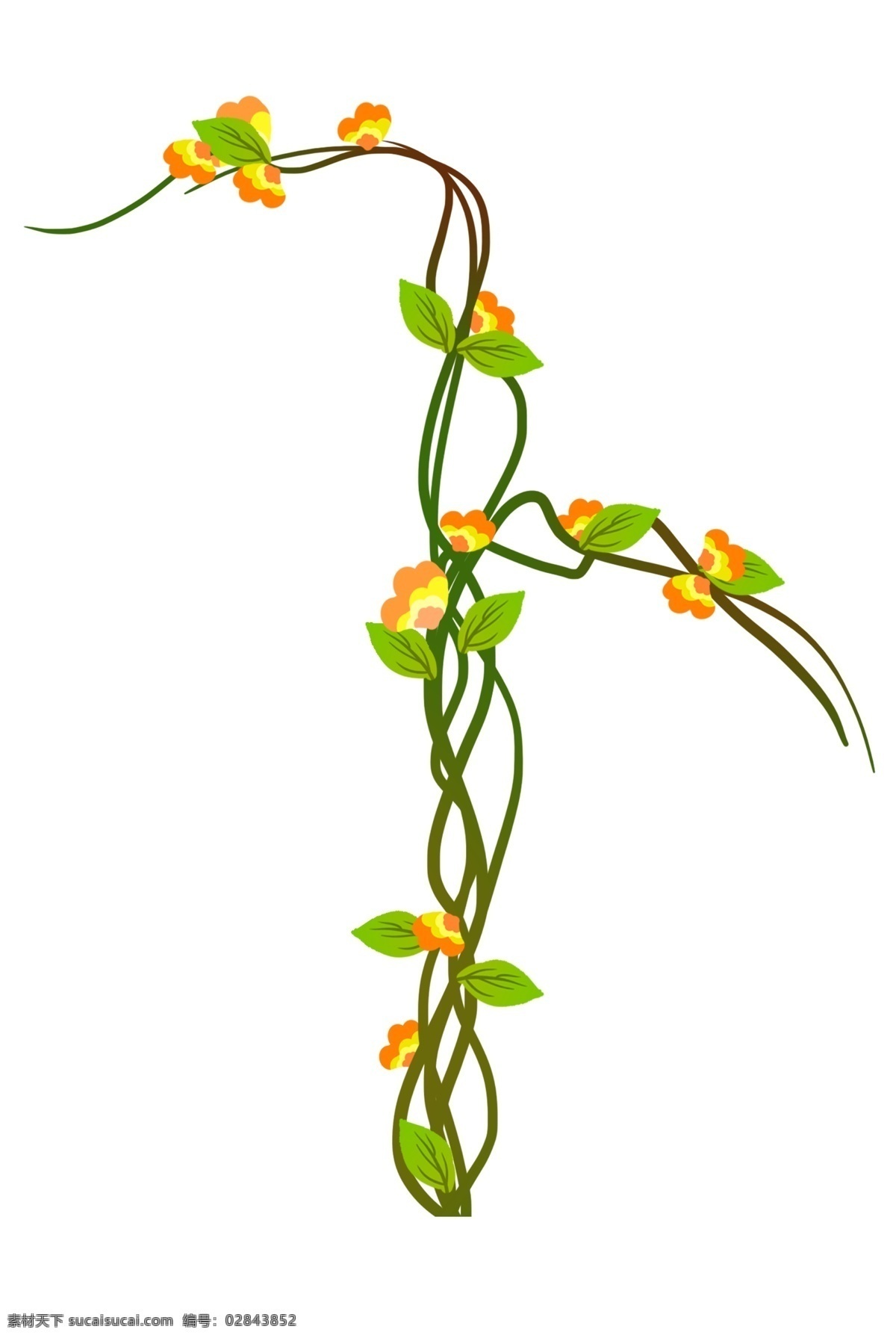 绿色 花 藤 卡通 插画 卡通插画 花藤插画 花藤 花朵 鲜花 花枝 花束 绿色的花藤 漂亮的花藤