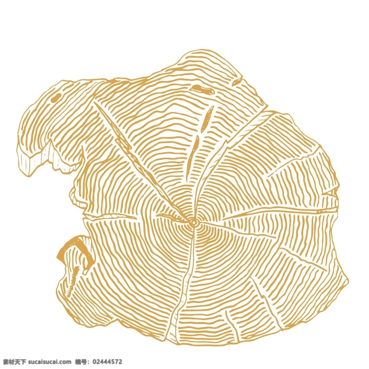 年轮 木纹 装饰 图案 树木 纹理 植物 线条 抽象 圆圈 绘画简笔 雕刻纹理