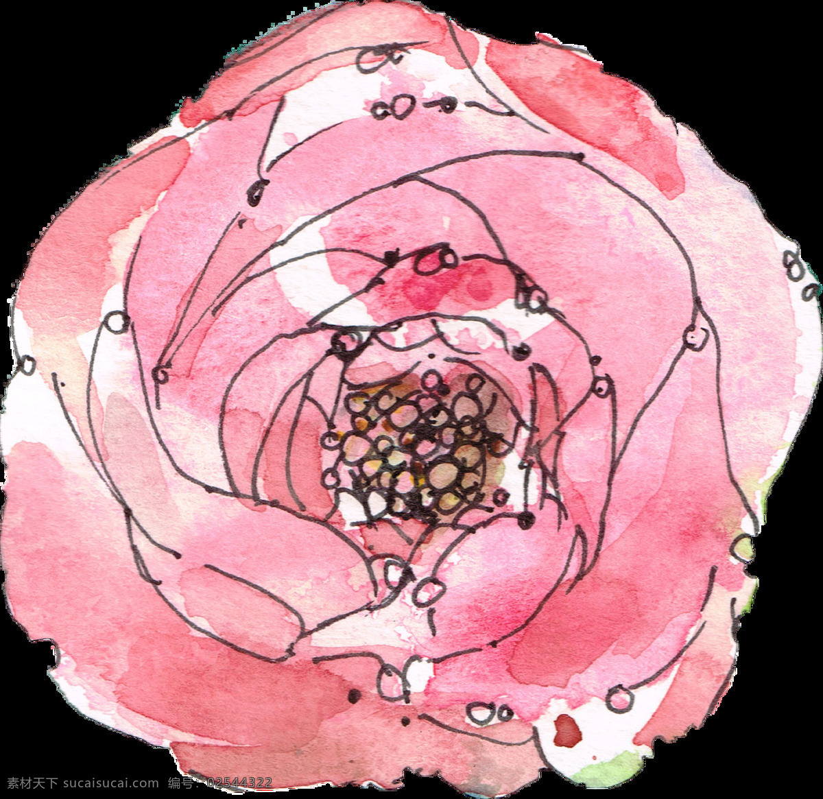 手绘 粉色 鲜花 透明 合集 免 扣 白色 插画 花朵 花卉 卡通 绿色 绿叶 牡丹 手账素材