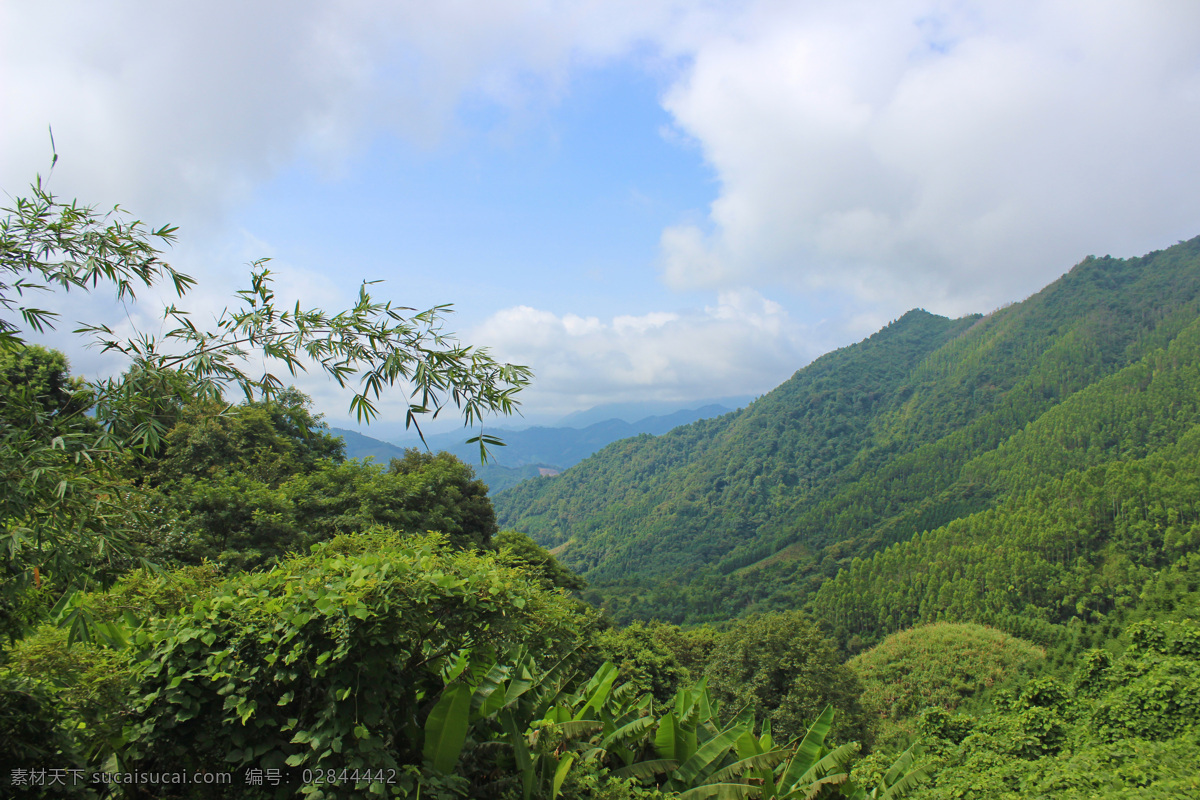 大山 大山深处 深山 森林 林木 树木 青山 山凹 山坳 蓝天白云 自然景观 自然风景 自然风光 贺州风光
