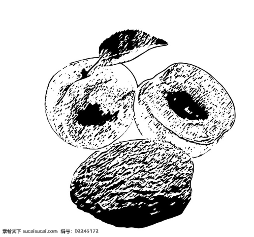 杏干 杏 白描 矢量 组合 生活百科 餐饮美食