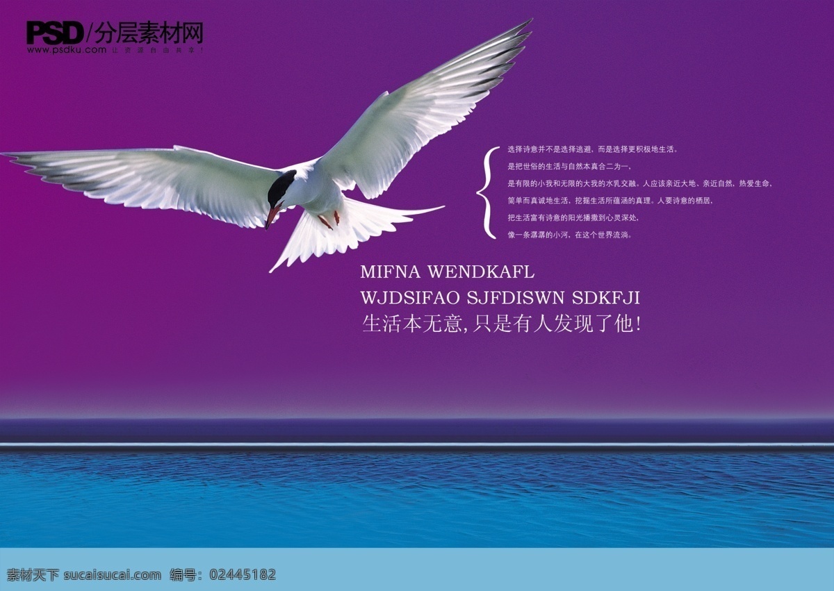 海鸥免费下载 版式设计 海 海鸥 画册封面 画册设计 企业画册设计 生活 无意 只是 有人 发现 企业画册封面