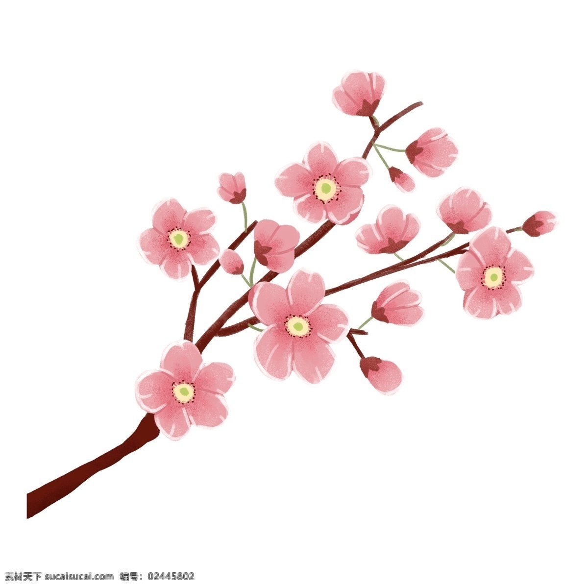 清新 水彩 花枝 卡通 透明 唯美 盛开 装饰图案 透明素材 免扣素材
