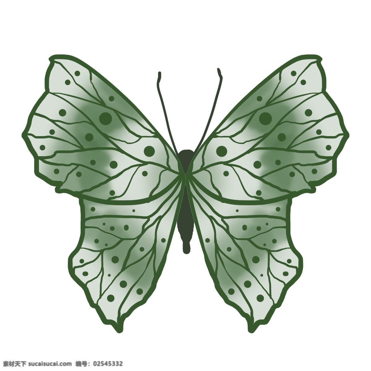 动物 昆虫 蝴蝶 绿色 写实 免抠 卡通