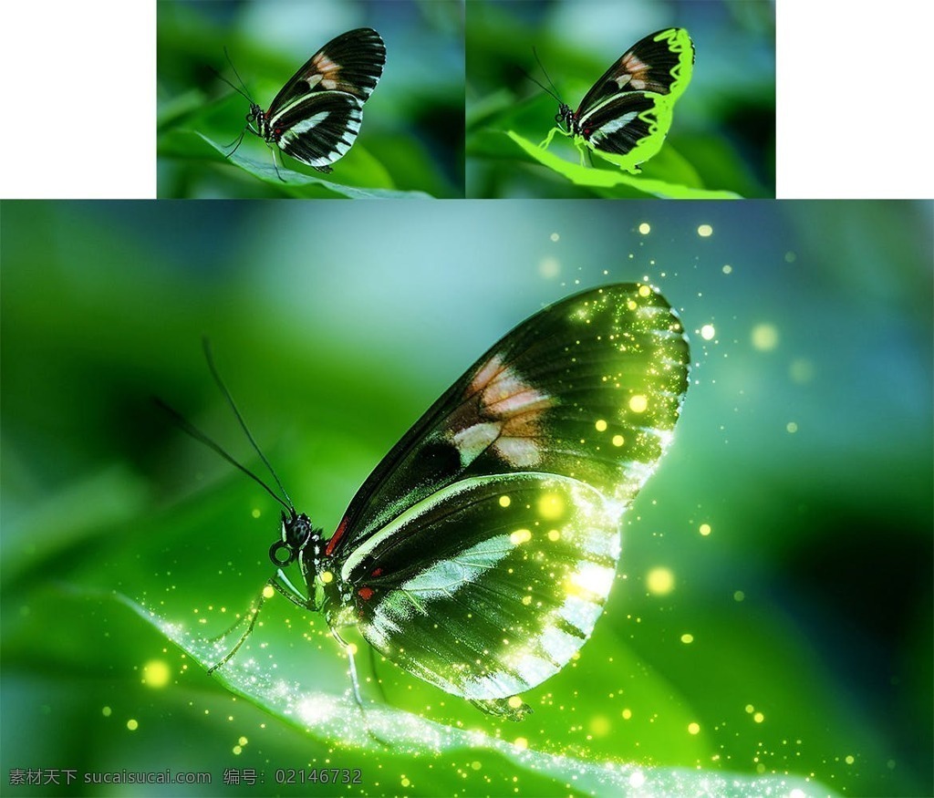 火花 烟花 烟火 ps 动作 光晕 sparklephotoshopaction