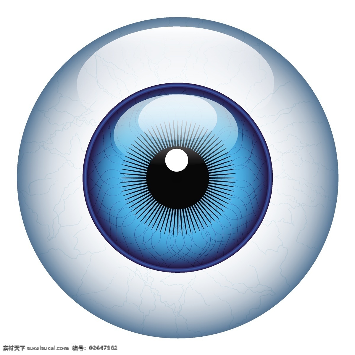 漫画 眼球 眼球的载体 眼球矢量 矢量 剪影 无 眼球载体设计 艺术 自由 蓝色 现实 世界的眼球 眼球的剪贴画 矢量图 其他矢量图