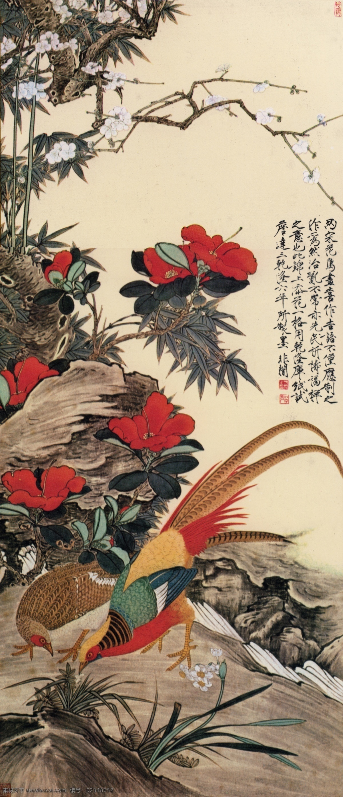 锦鸡 茶花 梅花 红茶花 工笔 花鸟 于非闇 国画 绘画书法 文化艺术