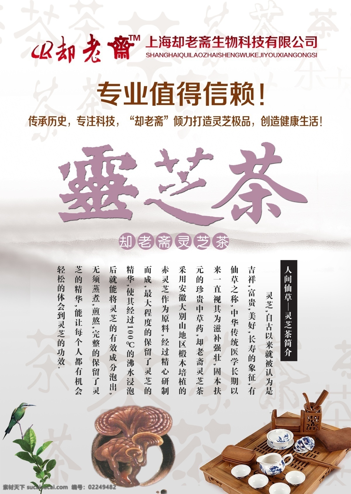 灵芝 茶 保健品 灵芝茶 灵芝茶传单 却老斋 psd源文件