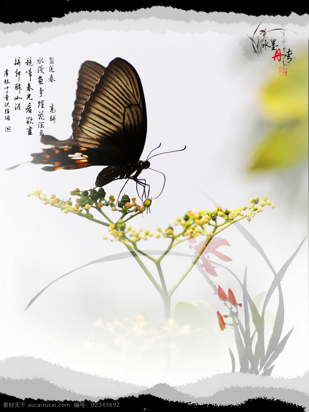 蝶恋花 国画 蝴蝶 花朵 昆虫 生物世界 水墨 中国风