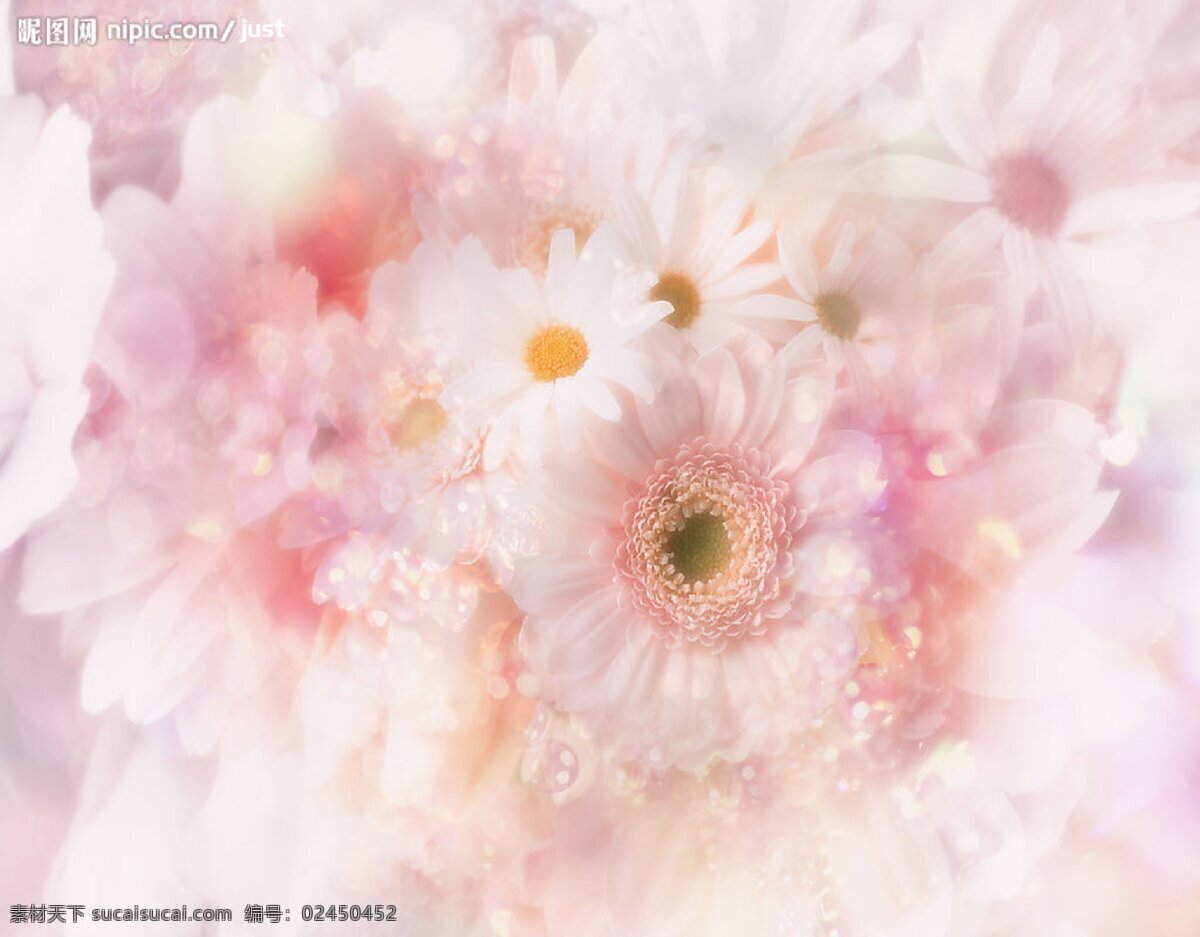 花素材背景 花纹花边 花纹素材 花纹边框 古典 底纹 底纹边框 金色框 花带 花瓣 花边 边框相框花纹 花背景 花草素材 花草边框 花 鲜花 花草 布匹 花卉 数码印花 定位 花印 花型 大花 裙子 花边设计 花框 水彩 花儿 花朵 婚礼素材 婚礼 婚礼设计 水墨 彩色 花纹 鲜花图案 花底 其他素材