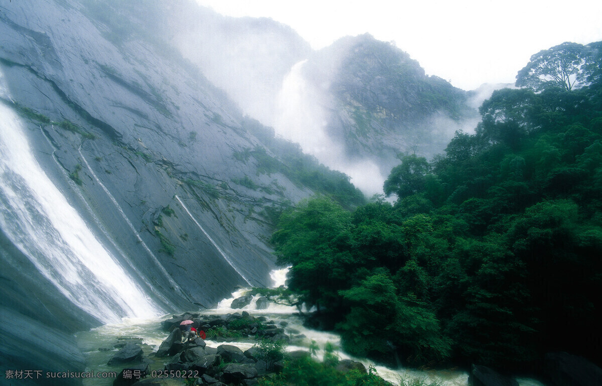 树免费下载 风景 山水风景 摄影图 树 植物 自然景观 水 家居装饰素材 山水风景画