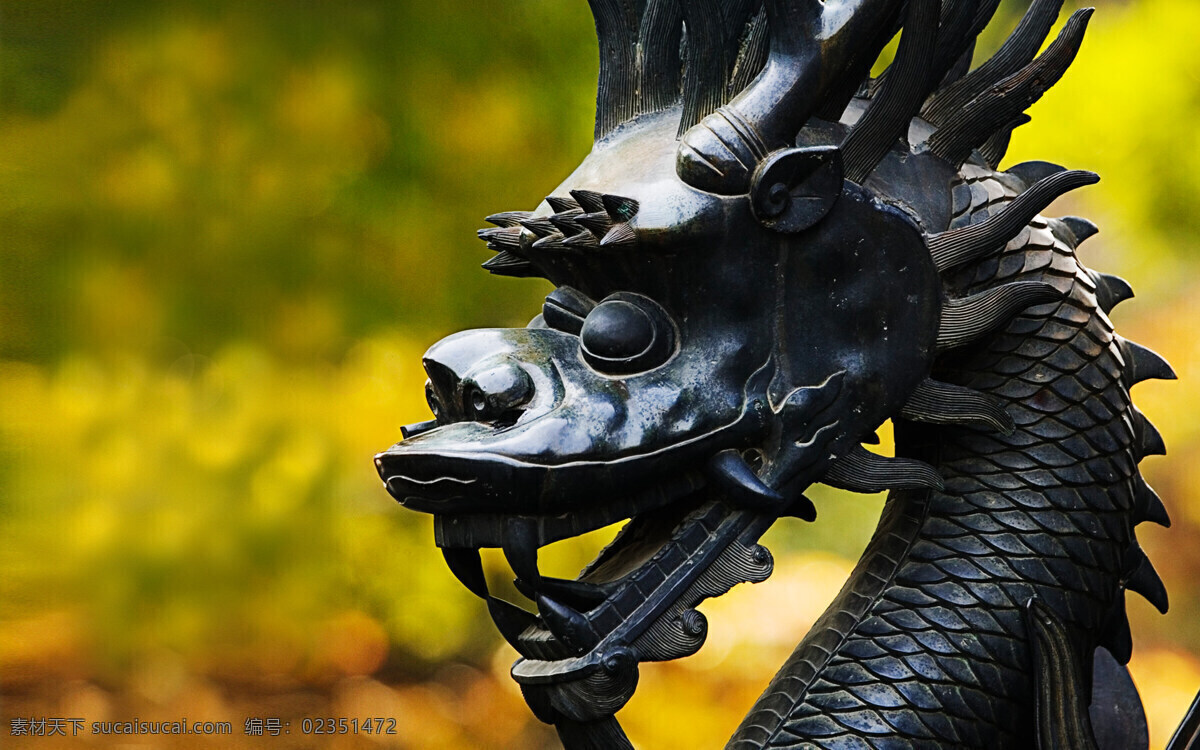 龙形雕刻 龙形 雕刻 传统 龙形象 文化 建筑园林 雕塑