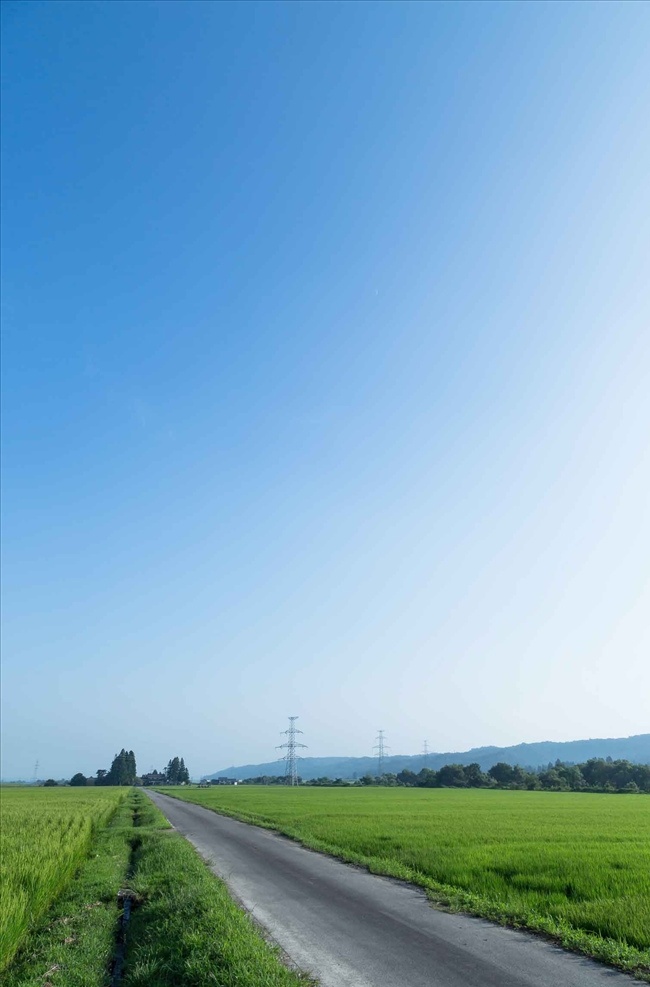 水田 蓝天 田野 天空 水田和蓝天 农田 自然风景 小路 小径 乡下小路 农村风景 远景树木 自然景观 山水风景