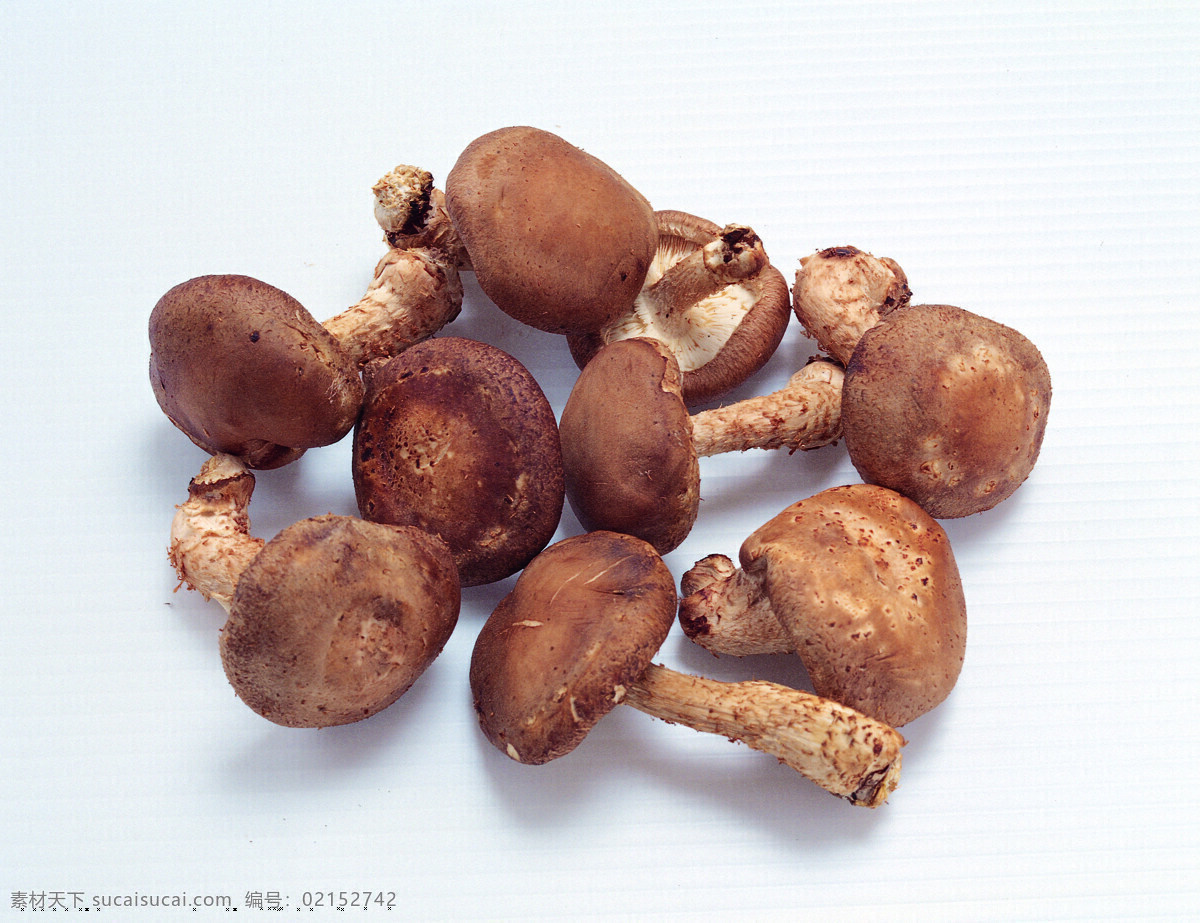 蔬菜免费下载 蔬菜 蔬菜大棚图片 蔬菜大全 蔬菜瓜果大全 蔬菜广告 蔬菜图片 蔬菜的图片 风景 生活 旅游餐饮