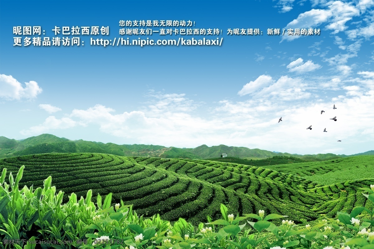 茶园 春天 夏天 蓝天白云 蓝天 白云 草地 草原 蓝天草地 草原风光 风景 绿 茉莉花 叶子 茶叶 茶庄 种植基地 绿色 蓝色 山恋 山峰 山 生机勃勃 活力 自然风景 山水风景 大自然 山水剪影 田园风光 山水画 天然 生态园 茶叶广告 背景 底图 展板 宣传栏 干净 清爽 绿色环保 创文 小塘 狮山 原创 分层 源文件