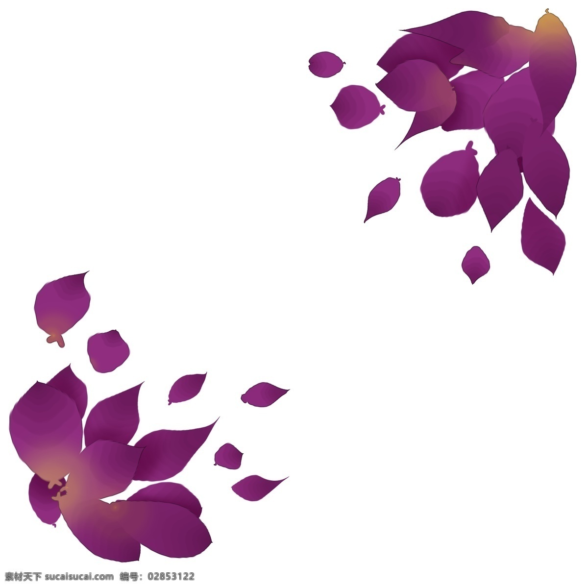 紫色 玫瑰 花瓣 插图 紫色玫瑰 漂浮花瓣插图 漂亮的花瓣 紫色花瓣 卡通花瓣 落花 飞花