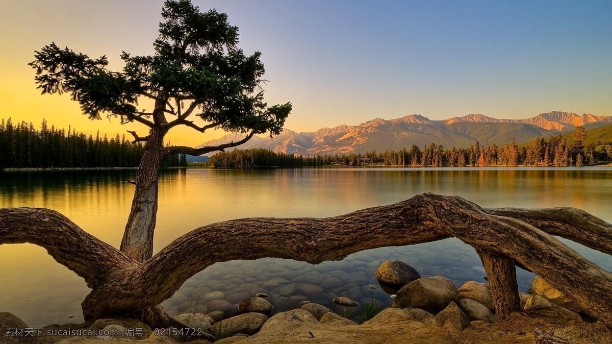 唯美 秋景 湖水 水面 唯美秋景 奇怪的树木 风景 生活 旅游餐饮