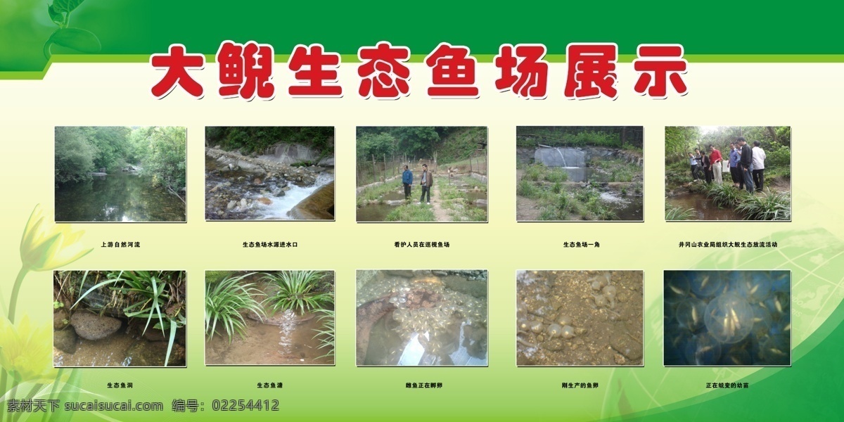 广告设计模板 娃娃鱼 幼苗 源文件 展板模板 展板 模板下载 娃娃鱼展板 大鲵展板 生态鱼场 娃娃鱼基地 鱼蛋 娃娃鱼洞 大鲵幼苗 其他展板设计