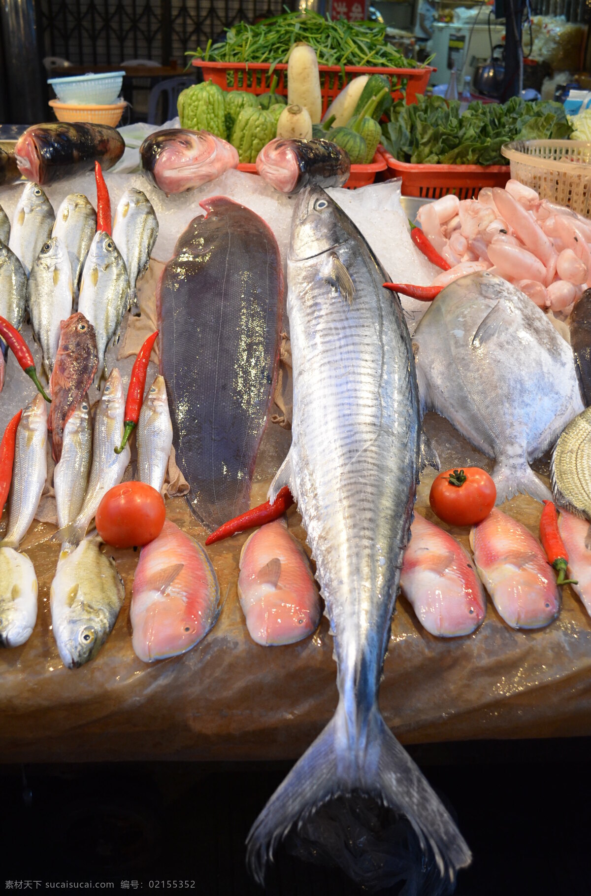 菜市场 夜市 市场 鱼 海鲜 大排档 美食 新鲜 食物原料 枪鱼 银鱼 餐饮美食