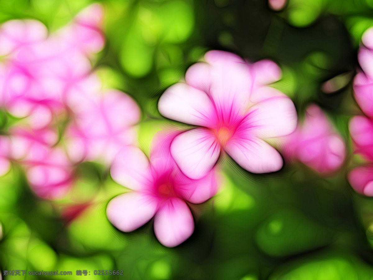植物 花卉 炫 光光 影 效果 无 框 画 装饰画 光 轮廓 光影 家居装饰素材