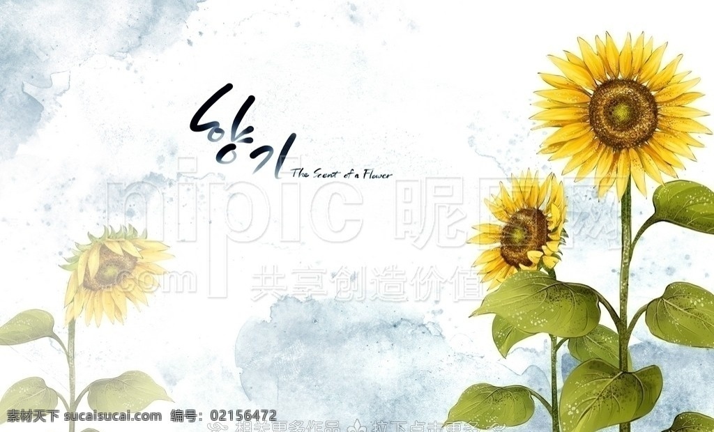 手绘向日葵 向日葵 向日葵插画 太阳花 太阳之子 手绘花卉插画 分层 源文件