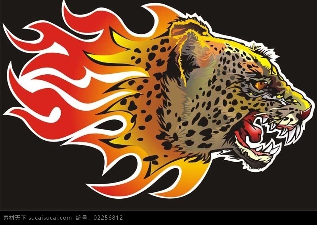 猎豹 头像 矢量图 生物世界 野生动物 矢量图库
