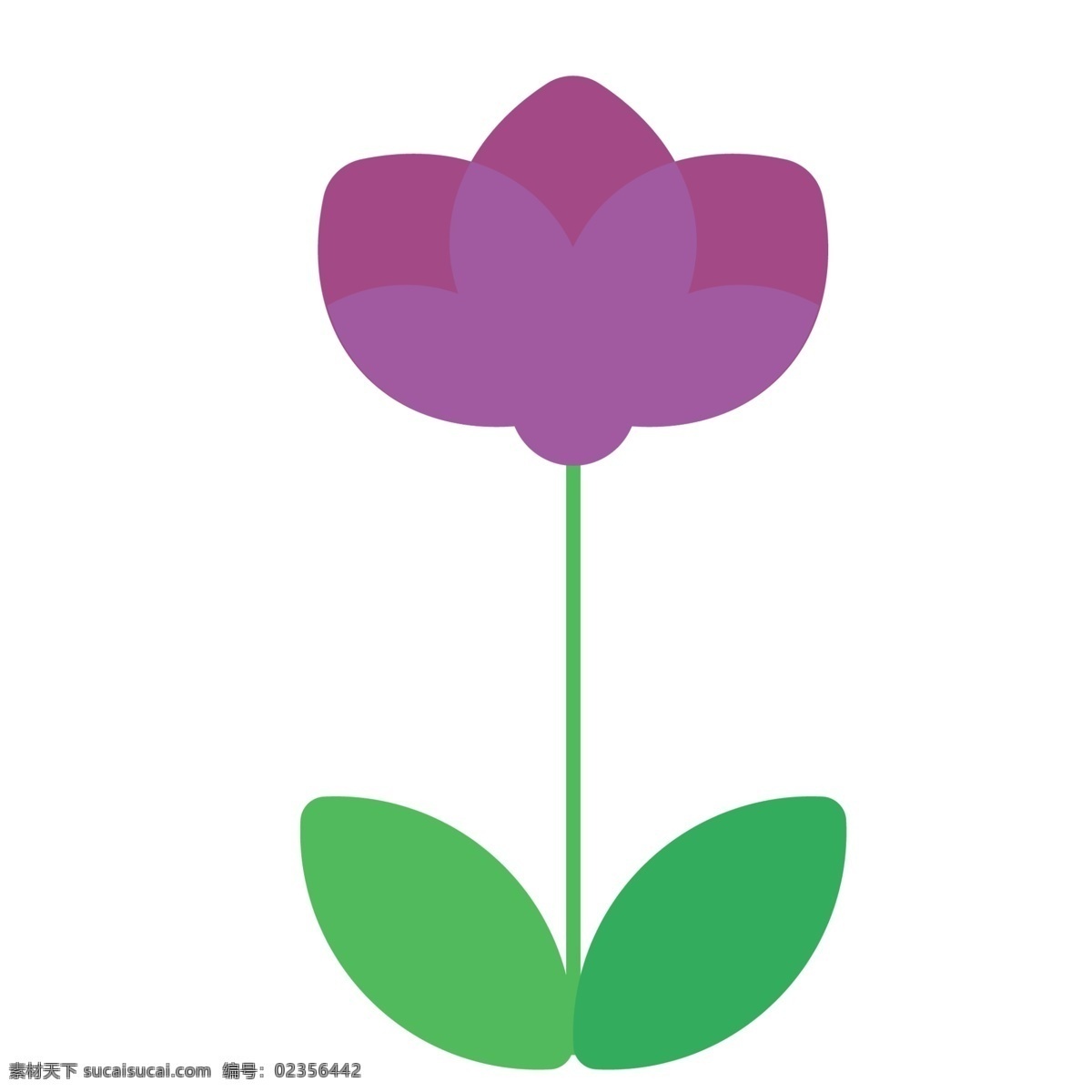 紫色 株 叶子 花朵 卡通叶子花朵 花朵绿叶 卡通花朵 手绘卡通 免抠下载 免抠紫色花朵